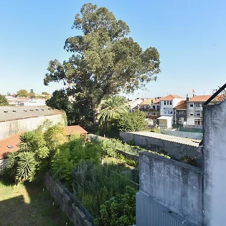 Live & Douro - Rosario Porto
